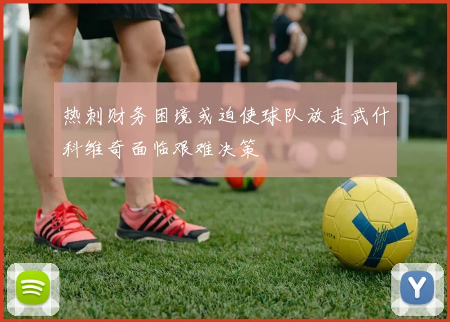 热刺财务困境或迫使球队放走武什科维奇面临艰难决策